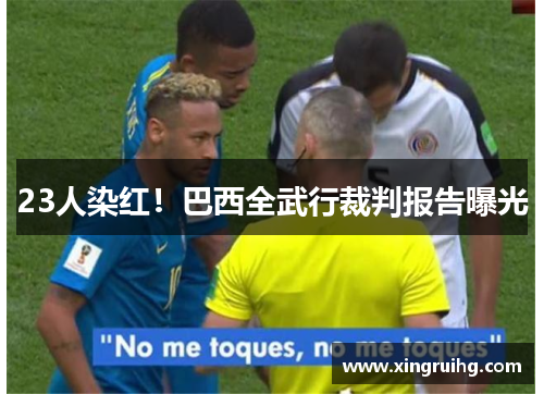 23人染红！巴西全武行裁判报告曝光